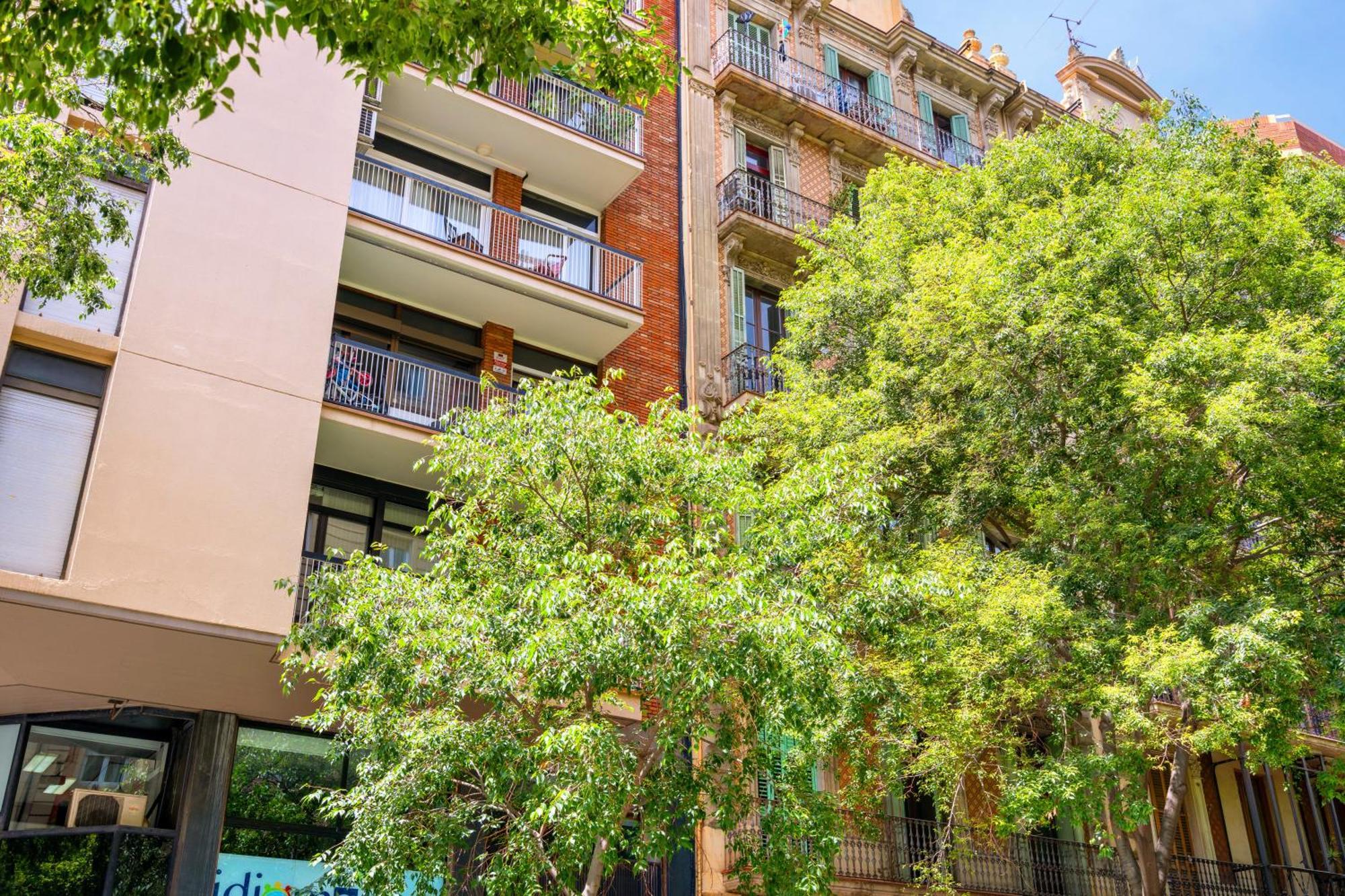 Spacious 5-bedroom In Apartament
